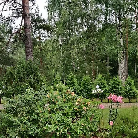 Apartman Flat - 35 M2 L Bbq Hut L Yard L Sauna L Kitchen Elva